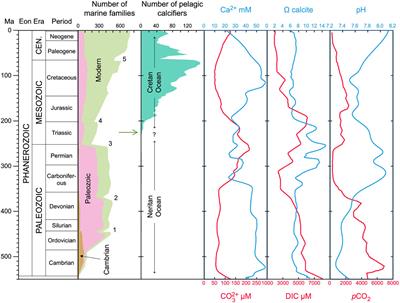 Environmental and physiological conditions that led to the rise of calcifying nannoplankton in the Late Triassic